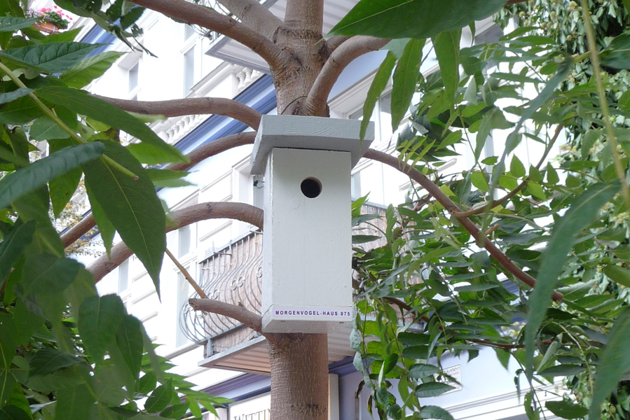 morgenvogel-house